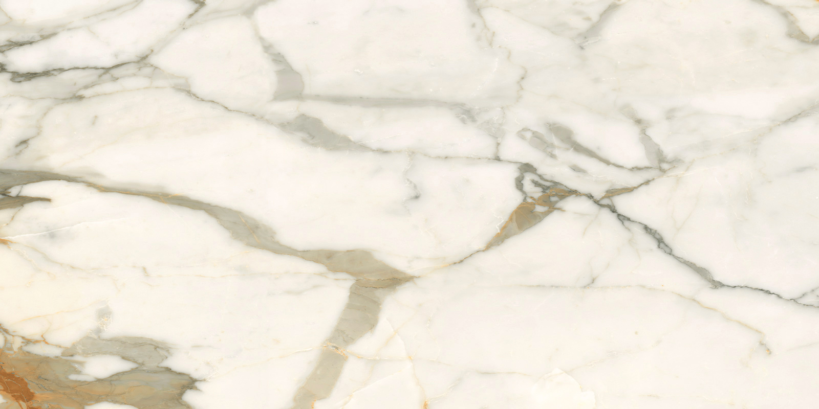 Керамогранит 600x1200 LCM Calacatta Borghini 60120CBO55P