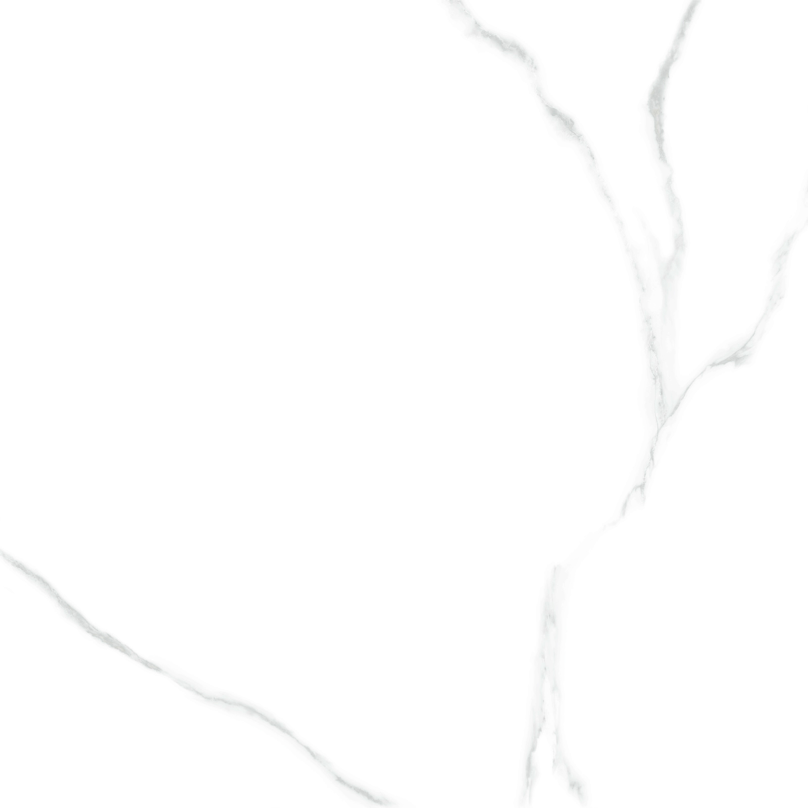 Керамогранит 600x600 LCM Atlantic Marble 6060AMR00P