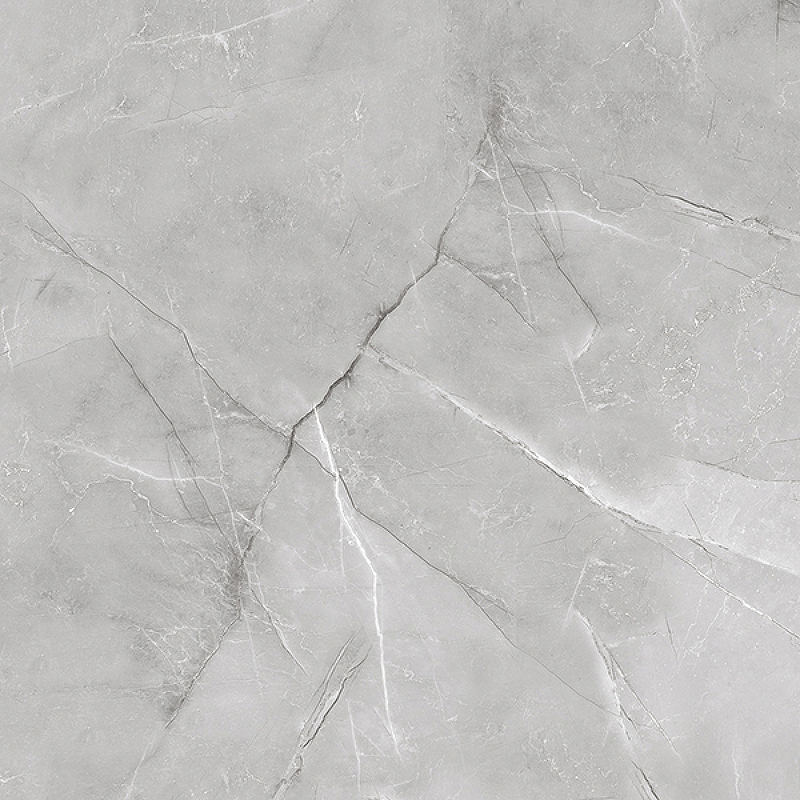 Керамогранит 600x600 Absolut Gres Armani Silver