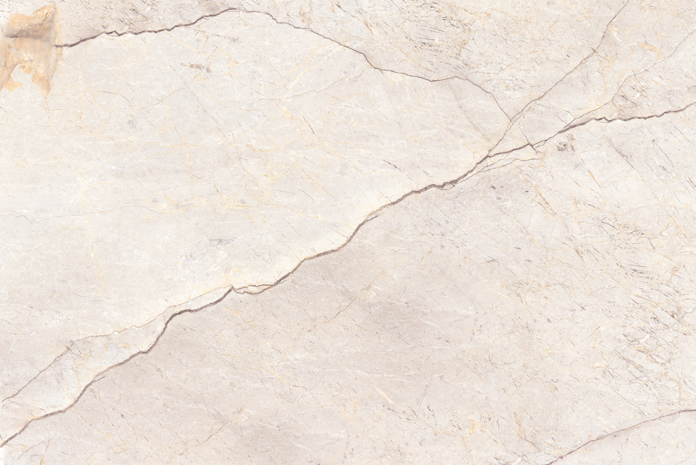 Керамогранит 800x1600 Foir Group Aynor Cream