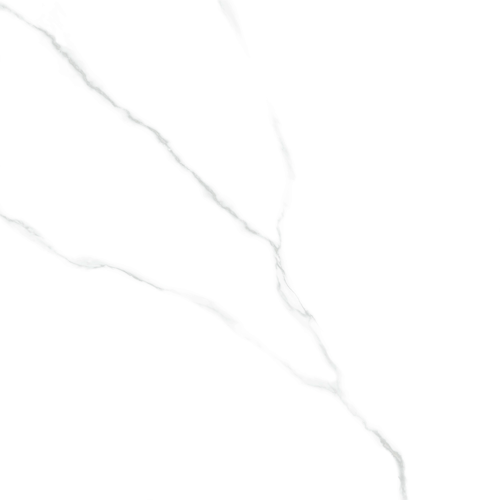 Керамогранит 600x600 LCM Atlantic Marble 6060AMR00P
