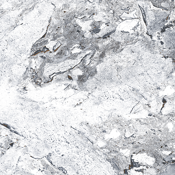 Керамогранит 600x600 Absolut Gres Ordito Grey