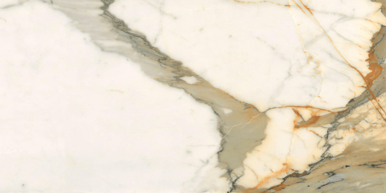 Керамогранит 600x1200 LCM Calacatta Borghini 60120CBO55P