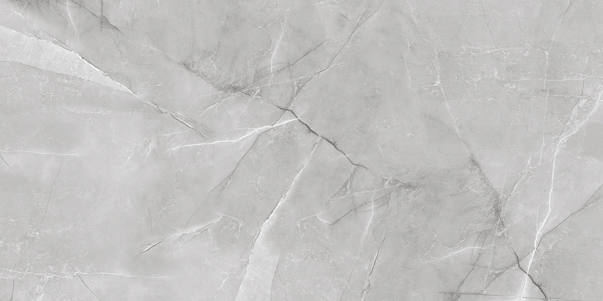 Керамогранит 1200x600 Absolut Gres Armani Silver