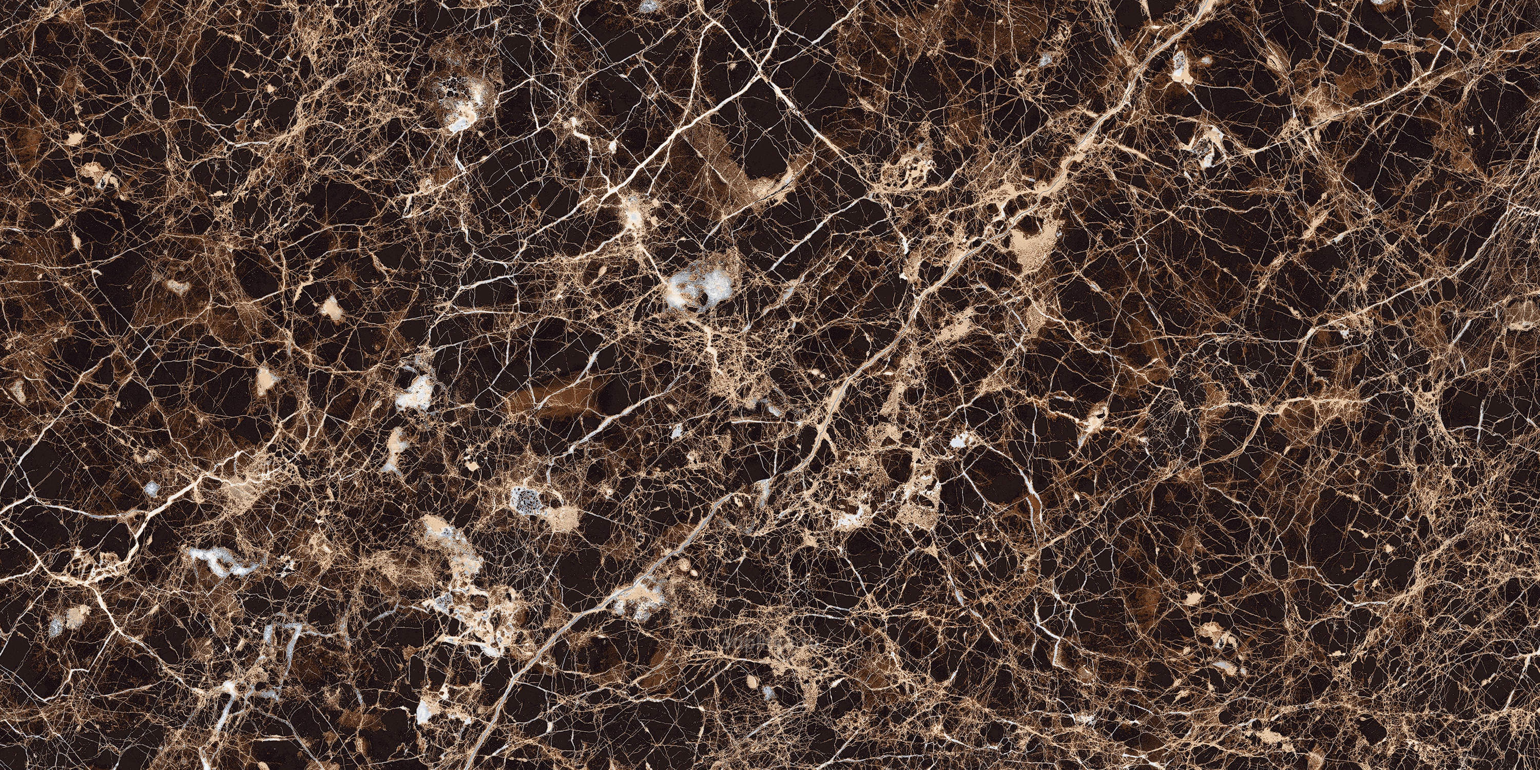 Керамогранит 600x1200 Maimoon Ceramica HG Glossy Emperador Grant Brown