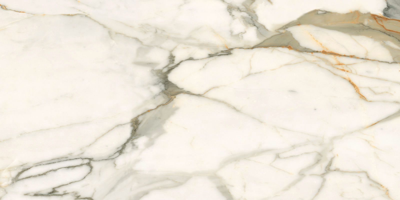 Керамогранит 600x1200 LCM Calacatta Borghini 60120CBO55P