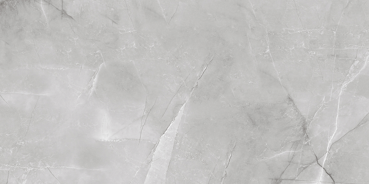Керамогранит 1200x600 Absolut Gres Armani Silver